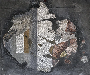 Great Palace Mosaic Museum. Byzantine style. Flight of birds Great Palace Mosaic Museum. Byzantine style. Flight of birds