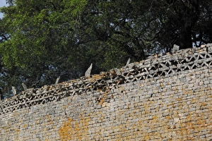 Great Zimbabwe Wall - Great Zimbabwe Great Zimbabwe Wall - Great Zimbabwe