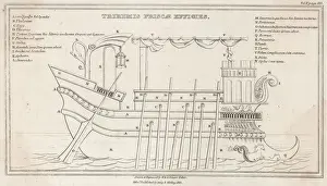 Greek Trireme Print: A Diagram of a Ancient Greek Warship