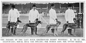 Four Greyhound Derby Winners at White City in 1932 - Print