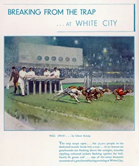 Greyhound Racing at White City Greyhound Racing at White City