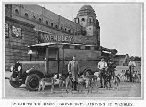 Greyhounds arriving at Wembley by car Greyhounds arriving at Wembley by car