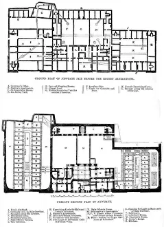 Ground Plan of Newgate Prison, London Print (1862)
