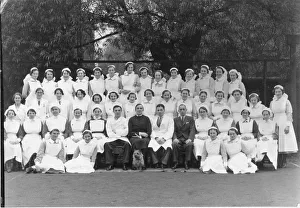 Group of nurses, doctors, senior nurse and dog Group of nurses, doctors, senior nurse and dog