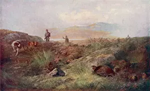 Prints of Grouse shooting - men and their dogs on a Scottish moor Related Prints: Grouse Shooting Print - Men and Dogs on a Scottish Moor
