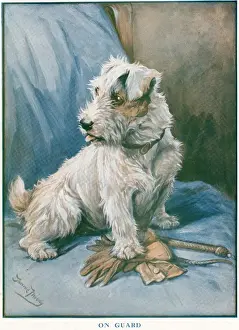 Terrier Breeds Prints: On Guard