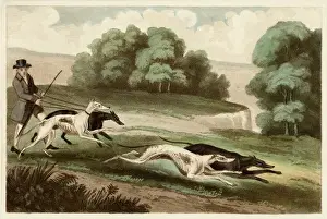 Dog Racing Prints: Hare Coursing Print, 1807