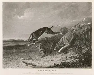 Hare Coursing Print 1835