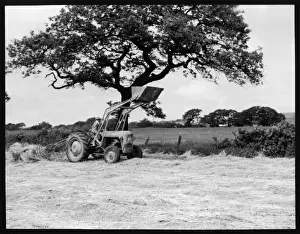 Harvesting Equipment Prints: Harvesting / Mill Loader