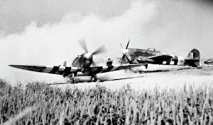 Prints of Hawker Typhoon Ib with Spitfire IXb passing in Normandy Airplanes And Aviation Prints: Hawker Typhoon Ib with Spitfire IXb passing in Normandy Print