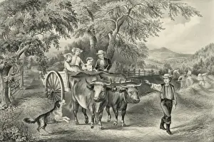 American Farming History Prints: Haying-time the last load