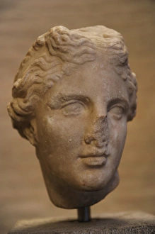 Head of an statue of Aphrodite. Ca. 300-290 BC Head of an statue of Aphrodite. Ca. 300-290 BC