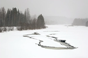 Heavy snowfall and reduced visibility over river Sosva Heavy snowfall and reduced visibility over river Sosva