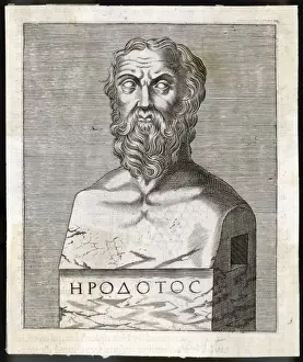 Ancient Greek Historian Prints: Herodotus / Anon Bust