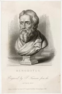 Parting Collection: Herodotus / Freeman / Bust