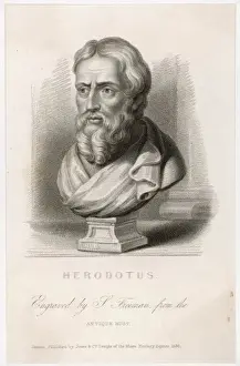Greek Classical Art Prints: Herodotus / Freeman / Bust