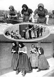 Herring Fleet Fisher Women, East Coast of Britain, 1913 Herring Fleet Fisher Women, East Coast of Britain, 1913