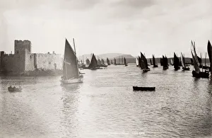 The herring season at Barra, Outer Hebrides, Scotland The herring season at Barra, Outer Hebrides, Scotland