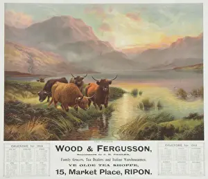 Prints of Calendar for Wood and Fergussons Ye Olde Tea Shoppe in Ripon featuring a scene of the Scottish Highlands, with Highland cattle in the foreground Highland Prints: Highland Cattle Print from the Scottish Highlands