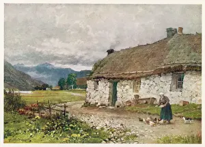 Prints of Outside a highland croft in Argyllshire, a woman feeds some chickens Related Prints: Highland Croft Print: Woman Feeds Chickens