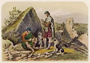 Highland Drovers Print: Cattle in the Distance