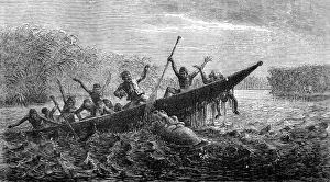Hippopotamus attacking a canoe, South Africa, 1857 Hippopotamus attacking a canoe, South Africa, 1857