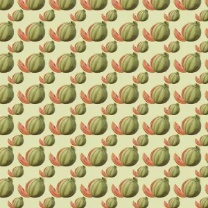 History Repeats Itself Prints: Watermelons Repeating Pattern Print, 19th Century