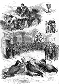 Homing Pigeon Contest at the Alexandra Palace, 1875 Homing Pigeon Contest at the Alexandra Palace, 1875