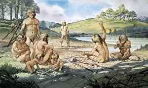 Anthropology Collection: Homo neanderthalensis in action at Swanscombe, UK