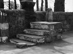 Adel Collection: Horse Mounting Steps