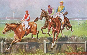 Horse Racing - The Last Hedge Horse Racing - The Last Hedge