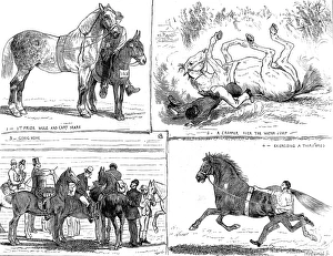The Horse Show, Alexandra Park, London, 1873 The Horse Show, Alexandra Park, London, 1873