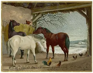 Winter Rural Landscape Prints: Horses in Stable