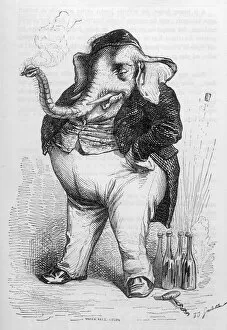 Humans Collection: Humanised elephant in the role of a bon viveur