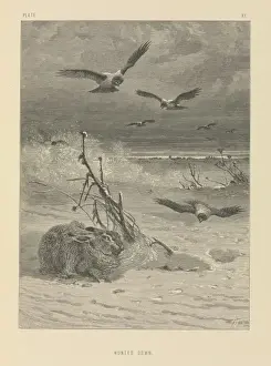 Wild Boar Hunt Print 1874
