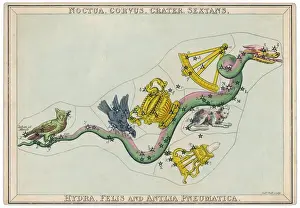 Owl Prints: Hydra Constellation Print featuring an Owl, Raven and Sextant
