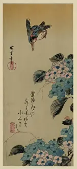 Hydrangea and Kingfisher Print, 1830-1858