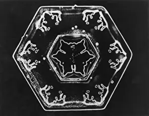 Ice Crystals Prints: Ice Crystals