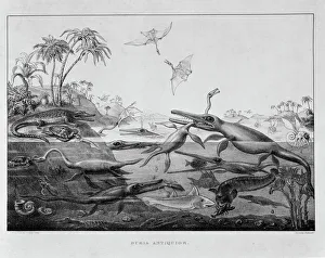 Ichthyosaurr, Plesiosaurus, Pterodactylus Ichthyosaurr, Plesiosaurus, Pterodactylus