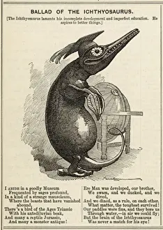 Print of Ichthyosaurus in Museum Setting