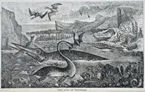 Early Jurassic Marine Reptiles Print, 200 million years ago