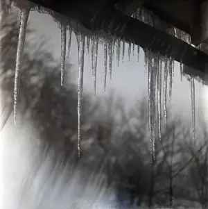 Cold Winter Scene Prints: Icicles hanging