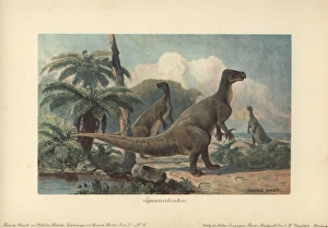 Iguanodons were herbivorous dinosaurs Iguanodons were herbivorous dinosaurs