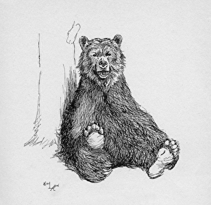 Illustration by Cecil Aldin, The Grizzly Bear Illustration by Cecil Aldin, The Grizzly Bear