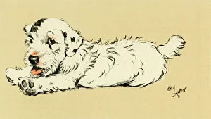 Illustration by Cecil Aldin, puppy lying down Illustration by Cecil Aldin, puppy lying down