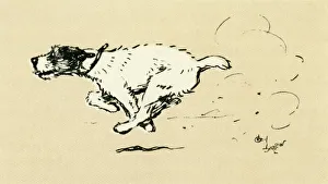 Illustration by Cecil Aldin, Tatters chasing the car Illustration by Cecil Aldin, Tatters chasing the car
