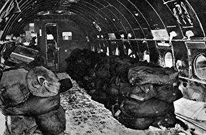 Interior of a Transport Airplane filled with coal, 1948 Interior of a Transport Airplane filled with coal, 1948
