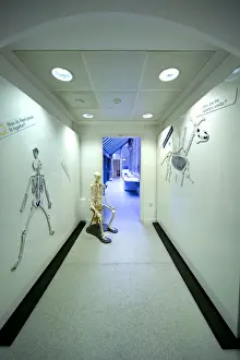 Natural History Museum Exhibits Prints: The Investigate Centre