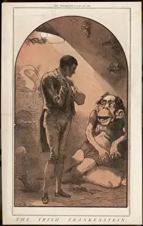 Anti-Irish Cartoon Print Depicting the Irish Fenian as a Monster