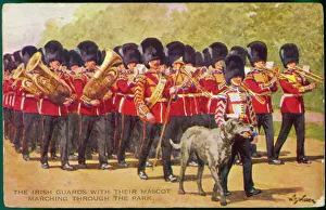 <b class=qtipBold><figcaption>Irish Wolfhound Mascot</figcaption></b><br>The band of the Irish Guards march with their regimental mascot, an Irish Wolfhound, of course.<br><em>© Mary Evans Picture Library 2015 - https://copyrighthub.org/s0/hub1/creation/maryevans/MaryEvansPictureID/10179393</em> Irish Wolfhound Mascot